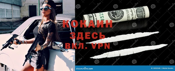 apvp Балахна